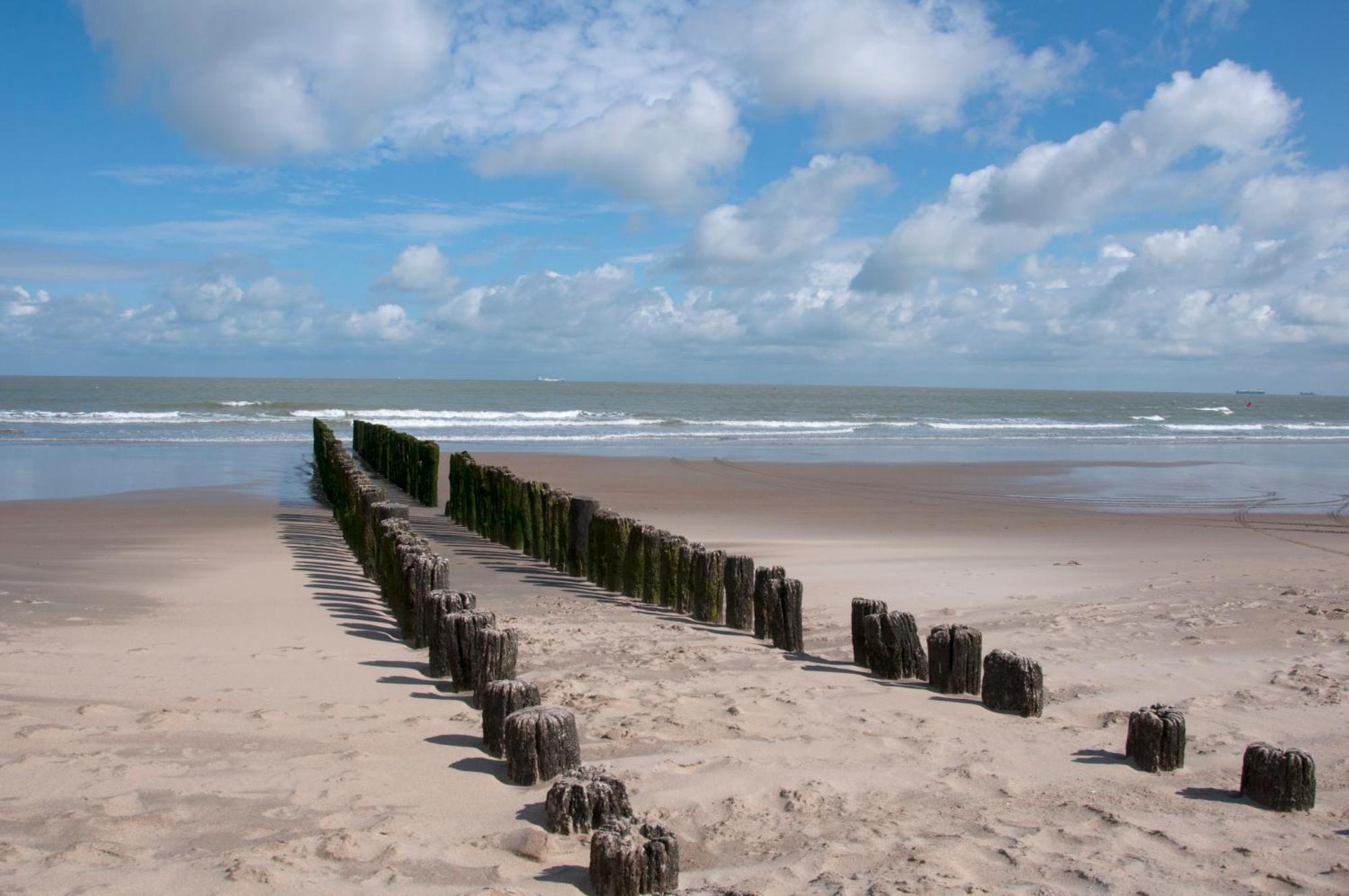 B&B Aquavit Knokke-Heist Dış mekan fotoğraf