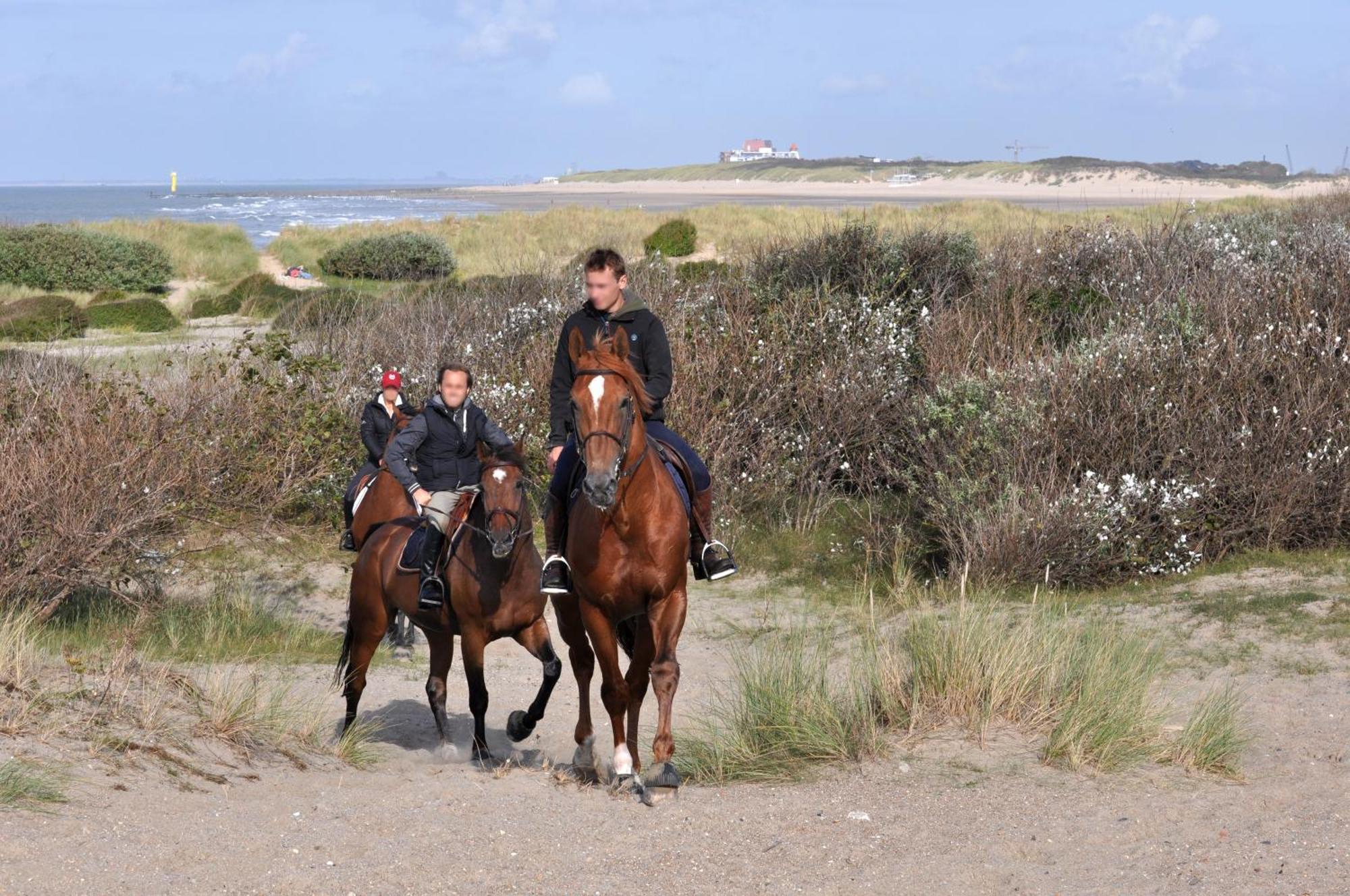 B&B Aquavit Knokke-Heist Dış mekan fotoğraf